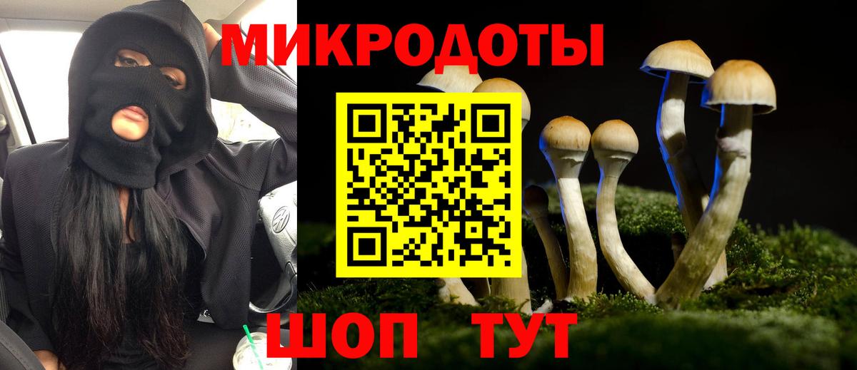 Галлюциногенные грибы прущие грибы Волжск